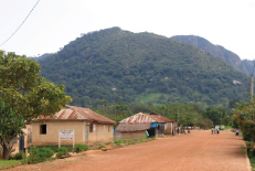 Kakum National Park