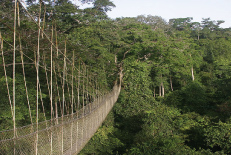 Kakum National Park